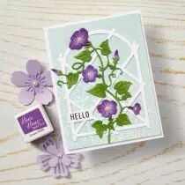 Fancy Dies Morning Glory