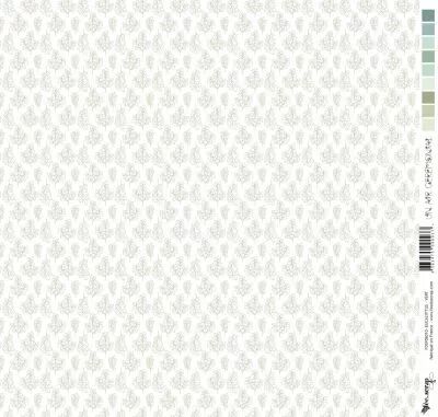 Feuille un air c�r�monial - eucalyptus - vert / fond blanc
