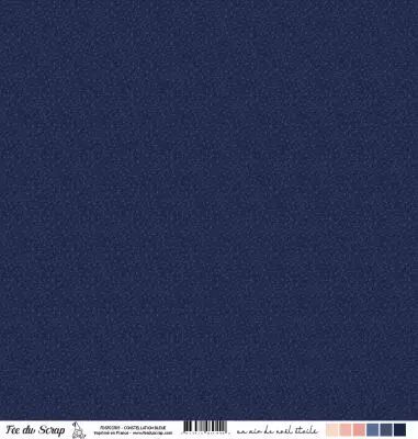 Feuille un air de no�l �toil� - Constellation bleue
