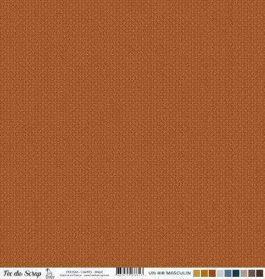 Feuille un air masculin - Cravates - Brique