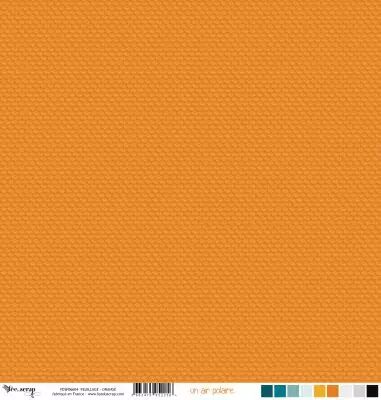 Feuille un air polaire - feuillage - orange