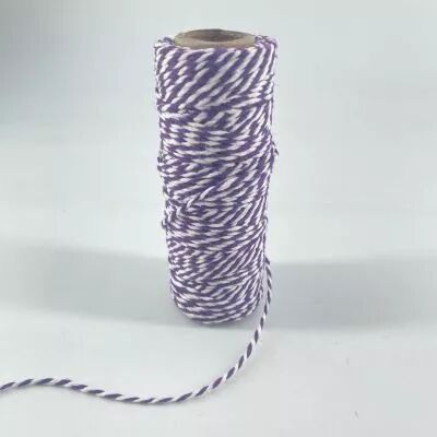 FICELLE BICOLORE TWINE VIOLET