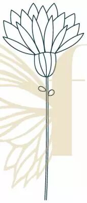GRAND TAMPON NON MONTE FLEUR DE LOTUS