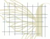 GRAND TAMPON NON MONTE QUADRILLAGE 2