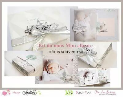KIT ALBUM MAI 2017 PAR ANN  LIZ