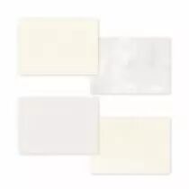 Kit créatif 12 cartes GINKGO