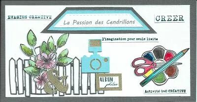 La passion des cendrillons