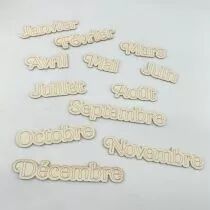 LOT 12 MOTS MOIS EN CARTON BOIS
