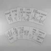 LOT DE 12 CARTES PROJECT LIFE MOTS EVIDES PHOTO - BLANC