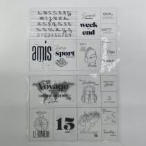 LOT DE 12 FEUILLES TRANSPARENTES PROJECT LIFE \ FEE TA VIE\ 