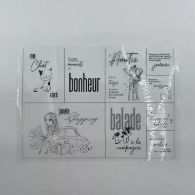 LOT DE 12 FEUILLES TRANSPARENTES PROJECT LIFE \ FEE TA VIE\ 