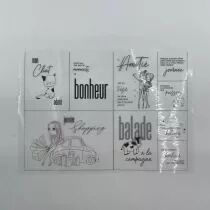 LOT DE 12 FEUILLES TRANSPARENTES PROJECT LIFE \ FEE TA VIE\ 