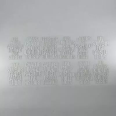 LOT DE 12 MOTS DE LA PHOTO POUR PROJECT LIFE - BLANC