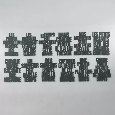 LOT DE 12 MOTS DE LA PHOTO POUR PROJECT LIFE - VERT