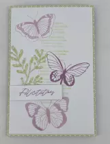 Lot de 2 dies branches de gui