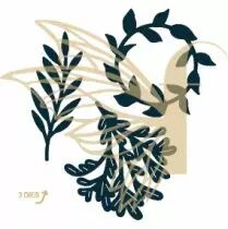 Lot de 3 dies feuillages d\'hiver