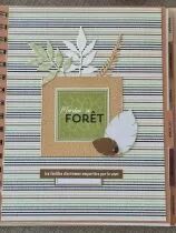 Lot de 3 dies feuillages