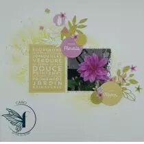 Lot de 4 dies feuillages de printemps