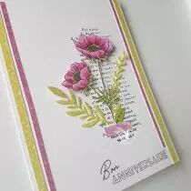 Lot de 4 dies feuillages de printemps