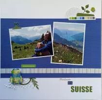 Lot de 4 dies feuillages de printemps