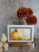 Lot de 5 dies - grands rectangles