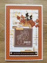 Lot de 5 dies - grands rectangles