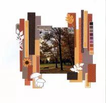 lot de 5 dies feuillages longs