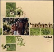 lot de 5 dies feuillages longs