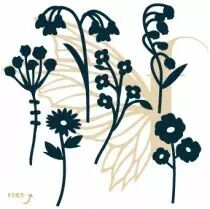 lot de 5 dies fleurs sur tige