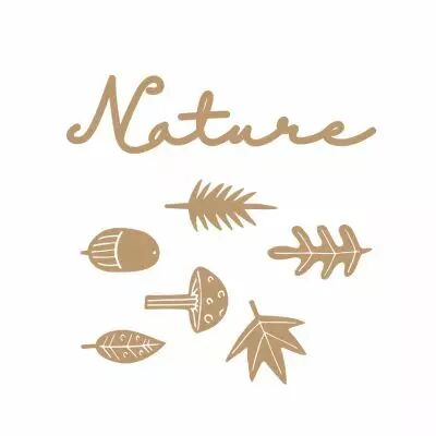 LOT EMBELLISSEMENTS EN BOIS - NATURE