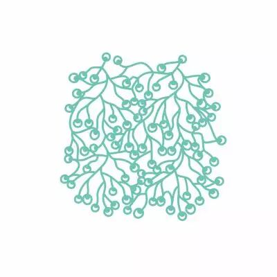 MASQUE CORAUX RONDS