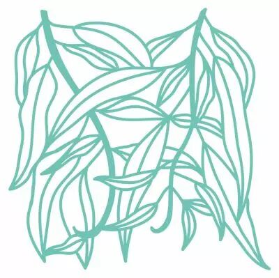 MASQUE FEUILLES D\' EUCALYPTUS