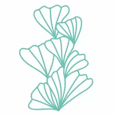 MASQUE FEUILLES DE GINKO