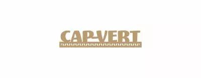 MOT BOIS AFRIQUE SUBSAHARIENNE - CAP-VERT