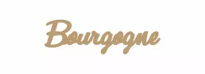 MOT BOIS FRANCE - BOURGOGNE
