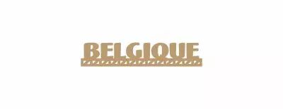 MOT BOIS PAYS D\'EUROPE - BELGIQUE
