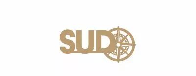 MOT BOIS POINT CARDINAL - SUD