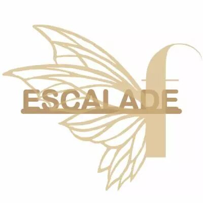 MOT BOIS SPORT - ESCALADE