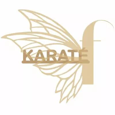MOT BOIS SPORT - KARATE