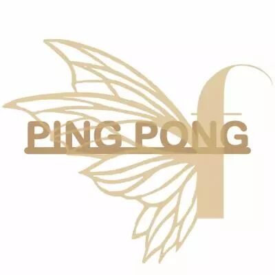 MOT BOIS SPORT - PING PONG
