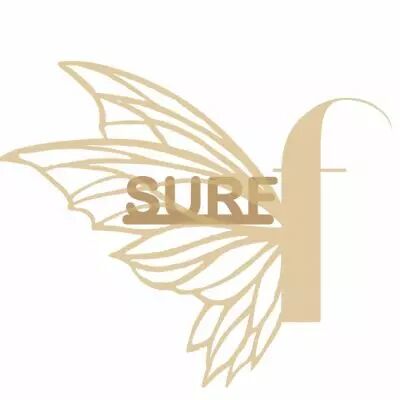 MOT BOIS SPORT - SURF