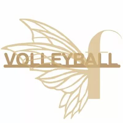 MOT BOIS SPORT - VOLLEYBALL