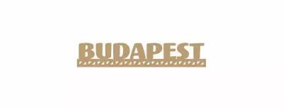 MOT BOIS VILLE D\'EUROPE - BUDAPEST