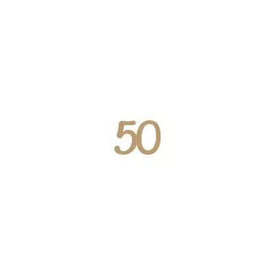MOT MDF 3 MM 50
