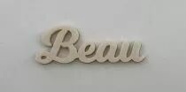 MOT PLEXI 3 MM BEAU COULEUR AU CHOIX