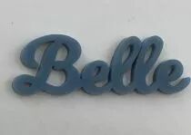 MOT PLEXI 3 MM BELLE COULEUR AU CHOIX