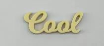 MOT PLEXI 3 MM COOL COULEUR AU CHOIX