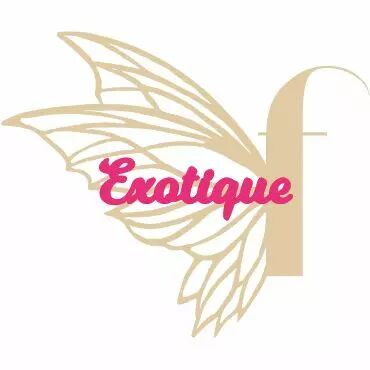 MOT PLEXI 3 MM EXOTIQUE COULEUR AU CHOIX