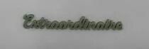 MOT PLEXI 3 MM EXTRAORDINAIRE COULEUR AU CHOIX