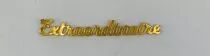 MOT PLEXI 3 MM EXTRAORDINAIRE COULEUR AU CHOIX